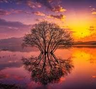 Test khoa hoc live 22222